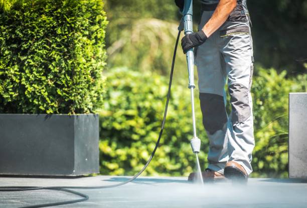 Best House Exterior Washing  in West Mayfield, PA