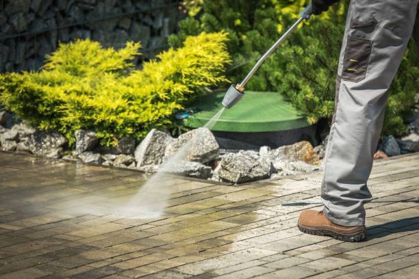 Animal Enclosure Cleaning in West Mayfield, PA