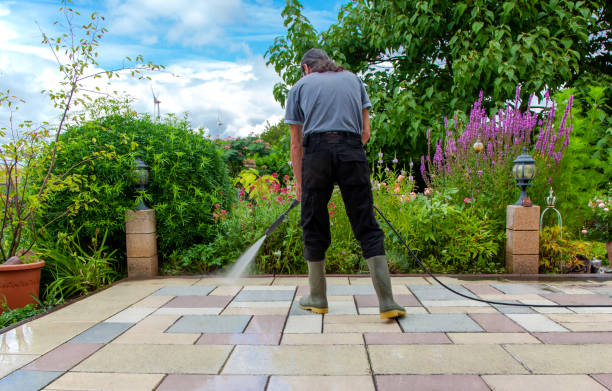 Best Animal Enclosure Cleaning  in West Mayfield, PA